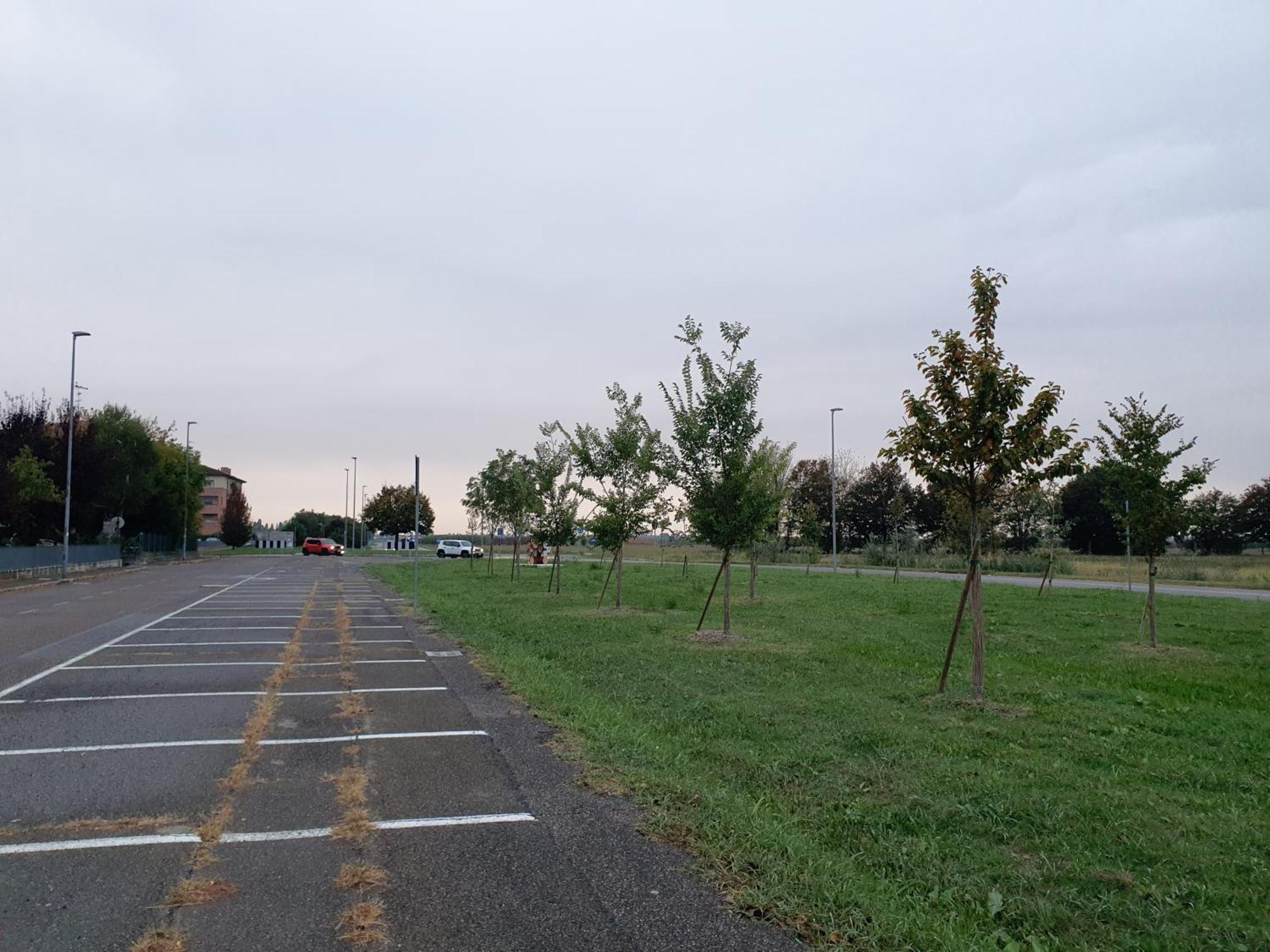 Appartamento Divino Tramonto Altedo ภายนอก รูปภาพ
