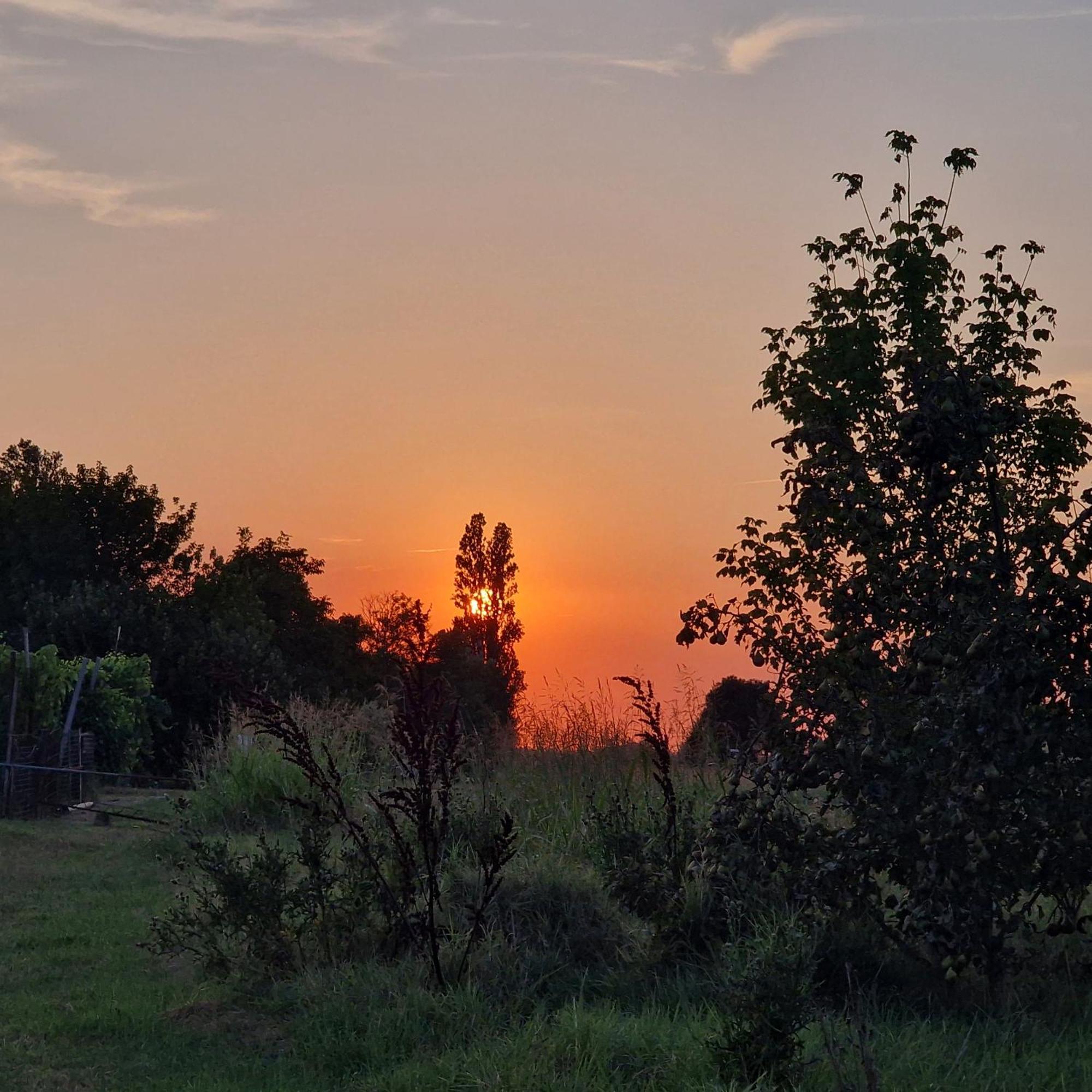 Appartamento Divino Tramonto Altedo ภายนอก รูปภาพ