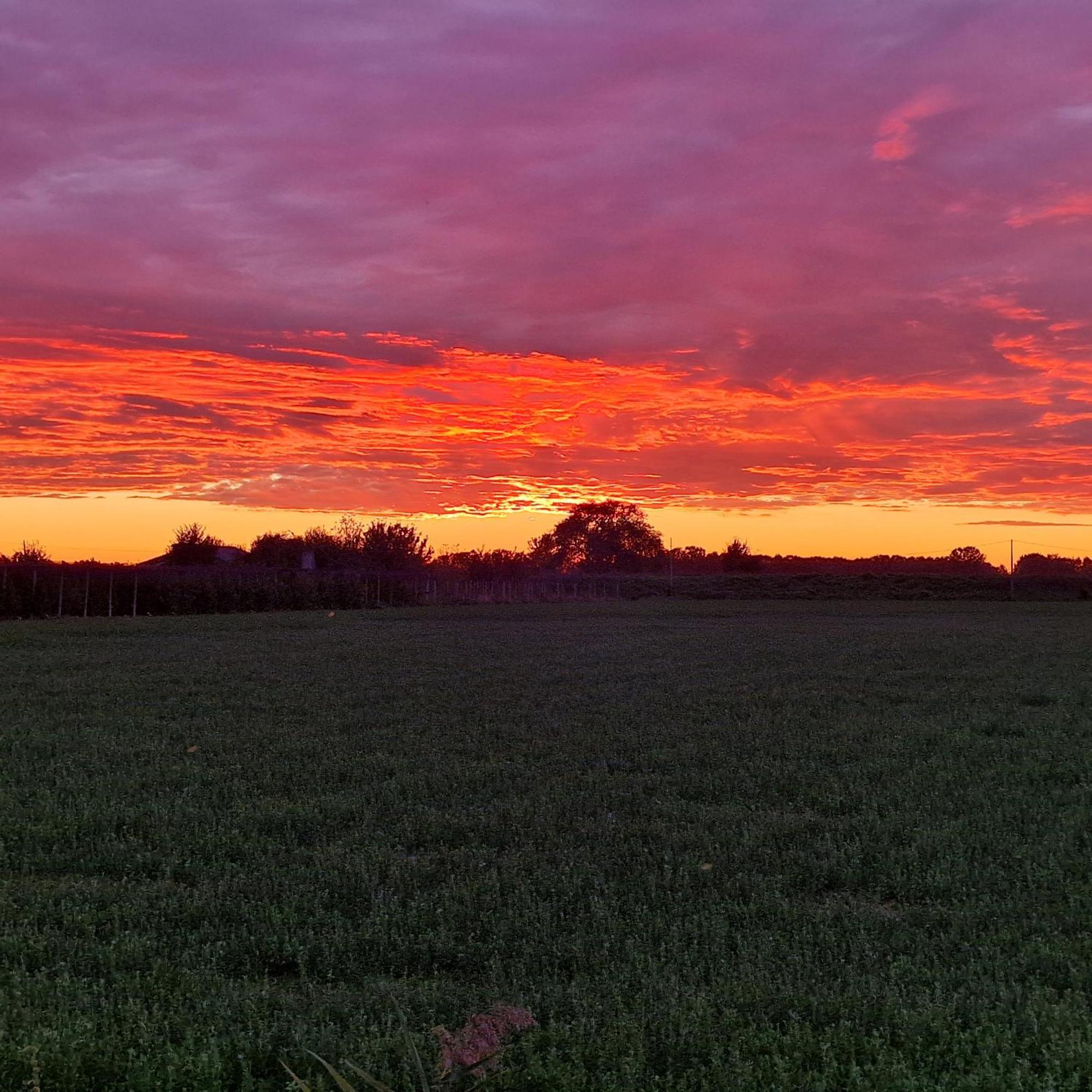 Appartamento Divino Tramonto Altedo ภายนอก รูปภาพ