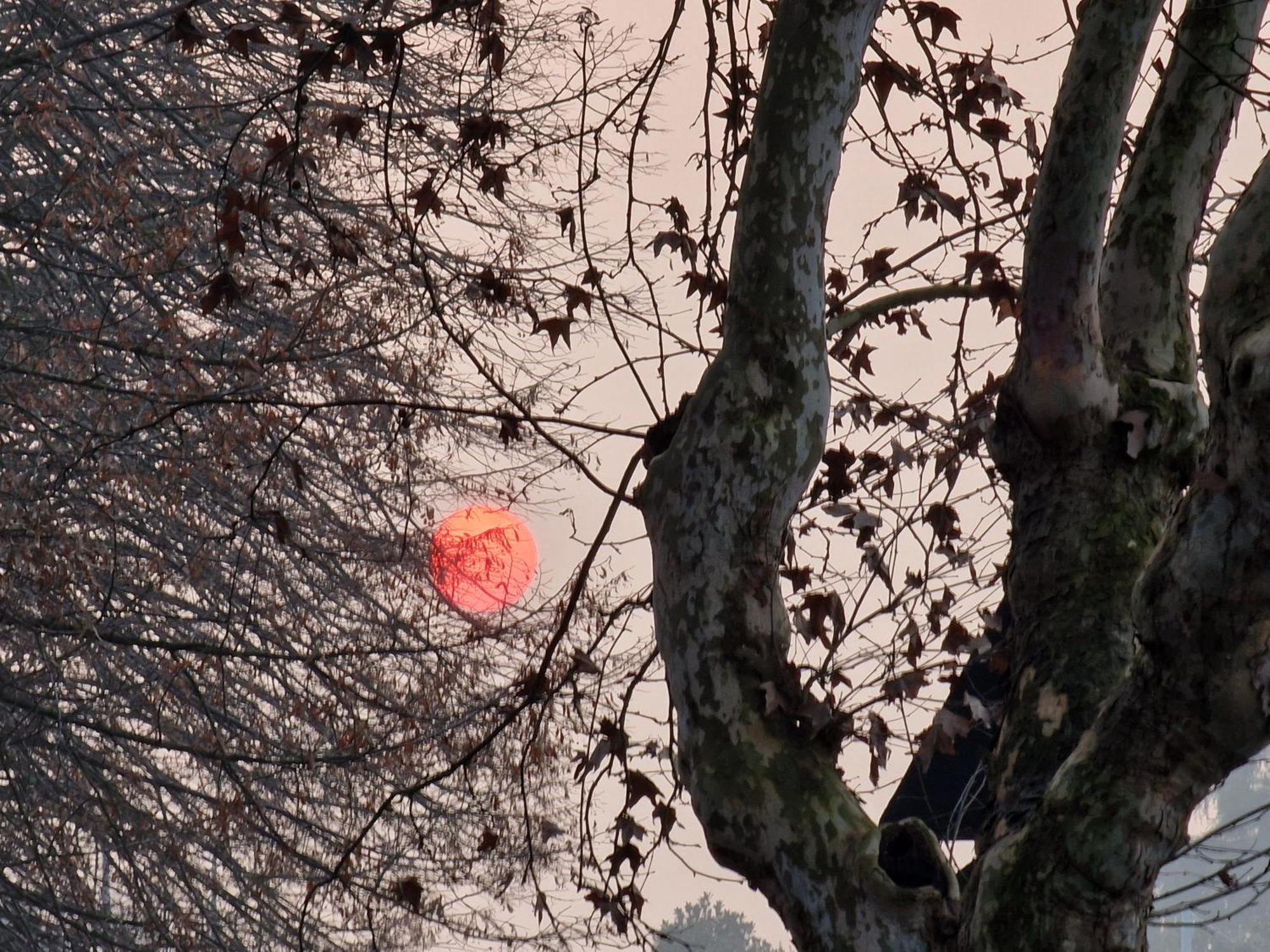 Appartamento Divino Tramonto Altedo ภายนอก รูปภาพ